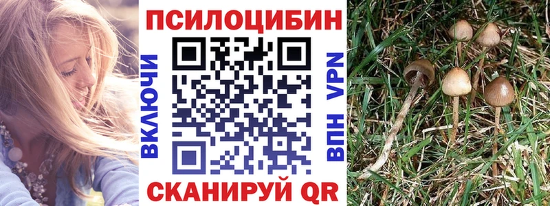 Псилоцибиновые грибы Magic Shrooms  Вологда 